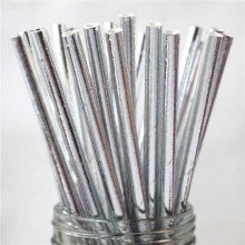 Gümüş Karton Pipet Metalik 24'lü